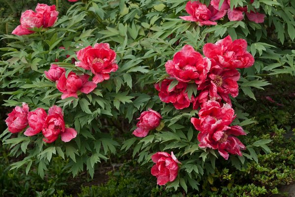 Ces ustensiles high-tech qui révolutionnent la cuisine